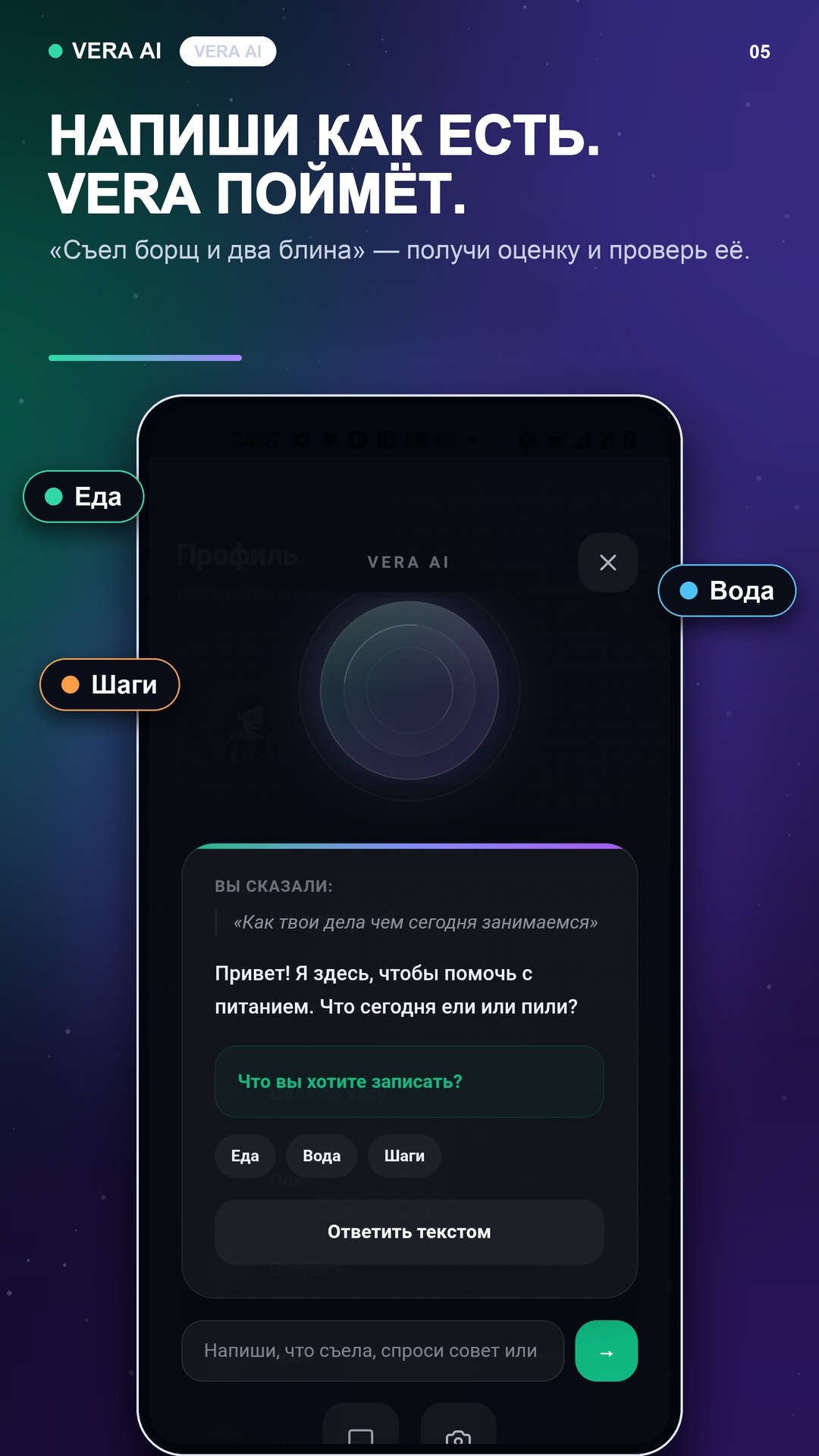 Диалог с Vera AI