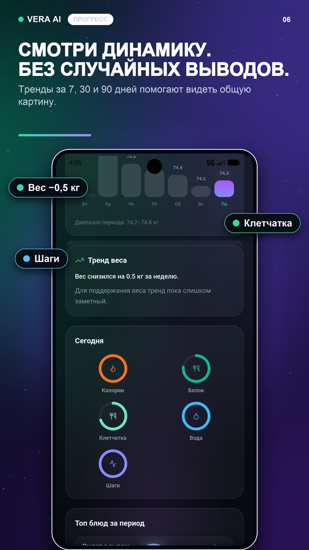 Аналитика прогресса в Vera AI